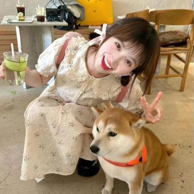公仔炼金术 海报